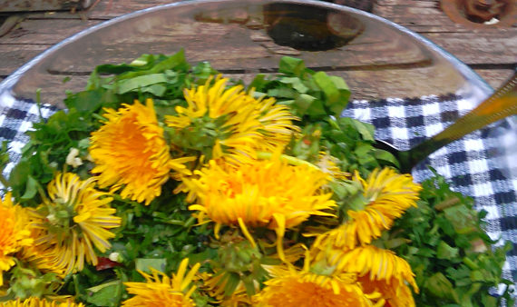 46-witold-slaby - baner - Reiki Rzeszów - Mistrz Reiki - Witold Słaby - Wczasy Reiki - Szkolenia Reiki - Stopnie Reiki - wczasy oczyszczajace - wczasy odchudzajace