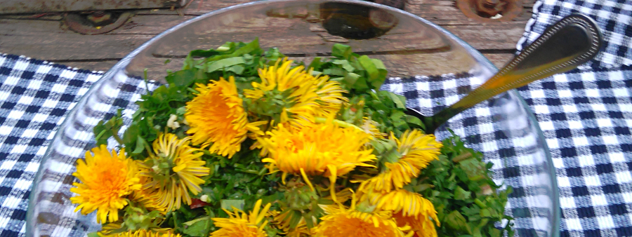 46-witold-slaby - baner - Reiki Rzeszów - Mistrz Reiki - Witold Słaby - Wczasy Reiki - Szkolenia Reiki - Stopnie Reiki - wczasy oczyszczajace - wczasy odchudzajace